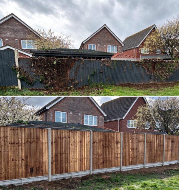 Garden Fence Replacement and Boundary Improvement